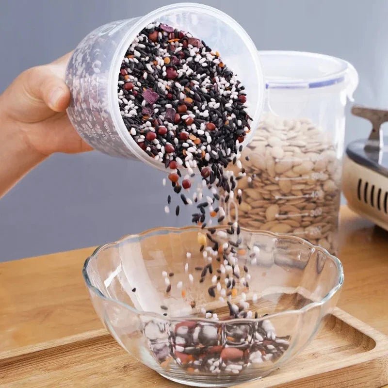 SEALLOCK BOX – Premium Sealed Storage Box for Grains, Spices & Dry Foods