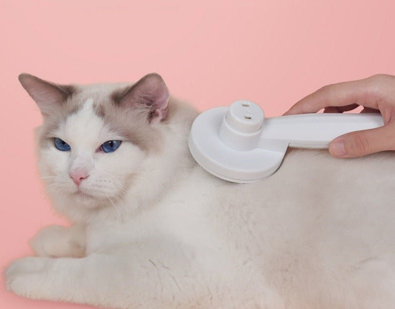  Selfclean Brush - self -cleaning cat brush for less hair loss-2