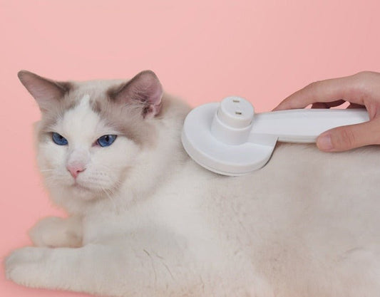  Selfclean Brush - self -cleaning cat brush for less hair loss-1