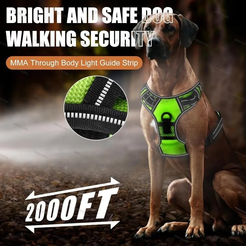 LUMIDOG – Rechargeable LED Dog Harness for Nighttime Safety 4