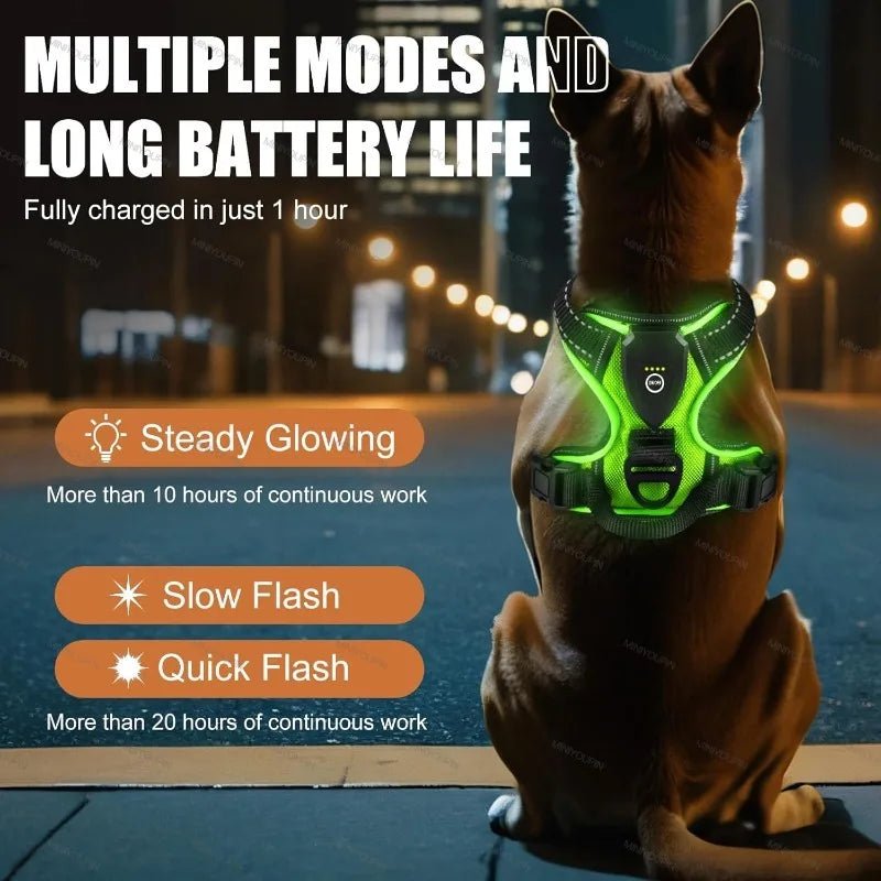 LUMIDOG – Rechargeable LED Dog Harness for Nighttime Safety 3