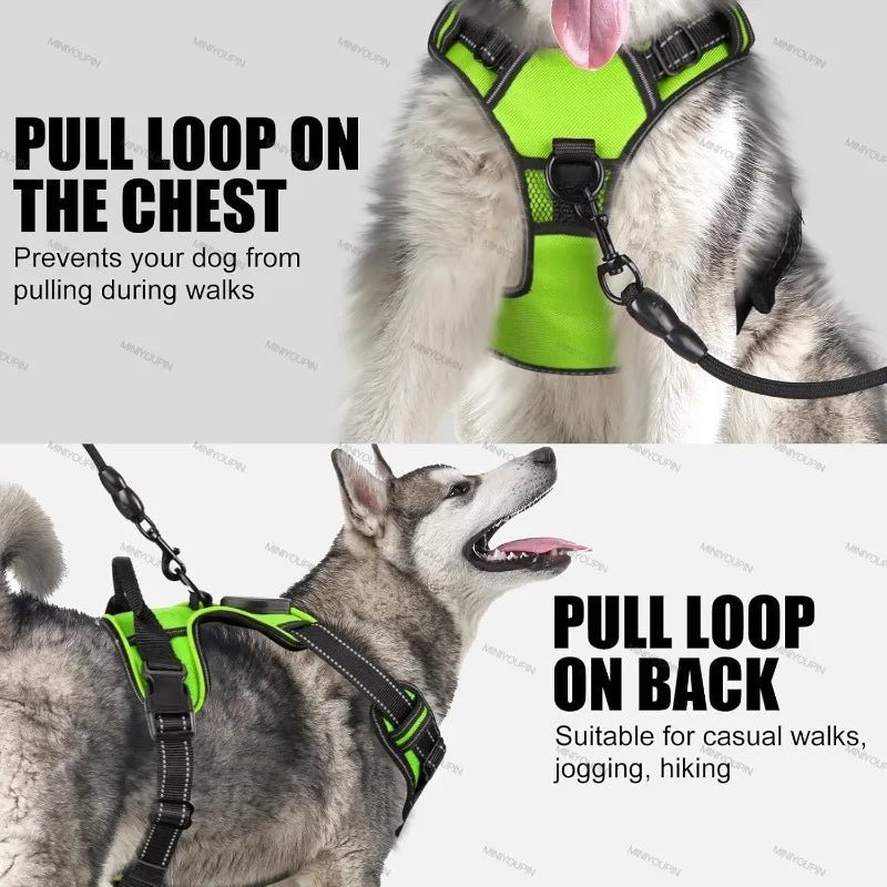 LUMIDOG – Rechargeable LED Dog Harness for Nighttime Safety 7