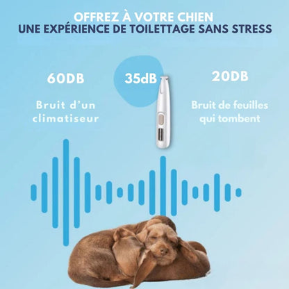 Silentpet Trimmer - low -noise dog dogs for clean paws & sensitive areas 2