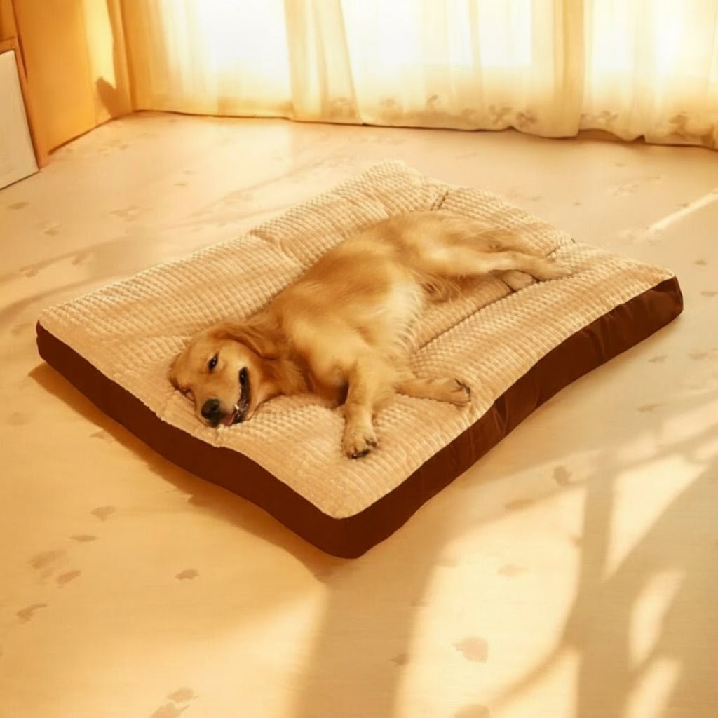 DOZEDOG – Premium Dog Bed with Supportive Foam & Soft Cotton Cover 3
