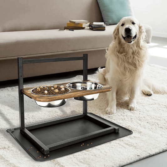 SNACKHAVEN – Ergonomisch Voedingsstation voor Honden met Roestvrijstalen Kommen