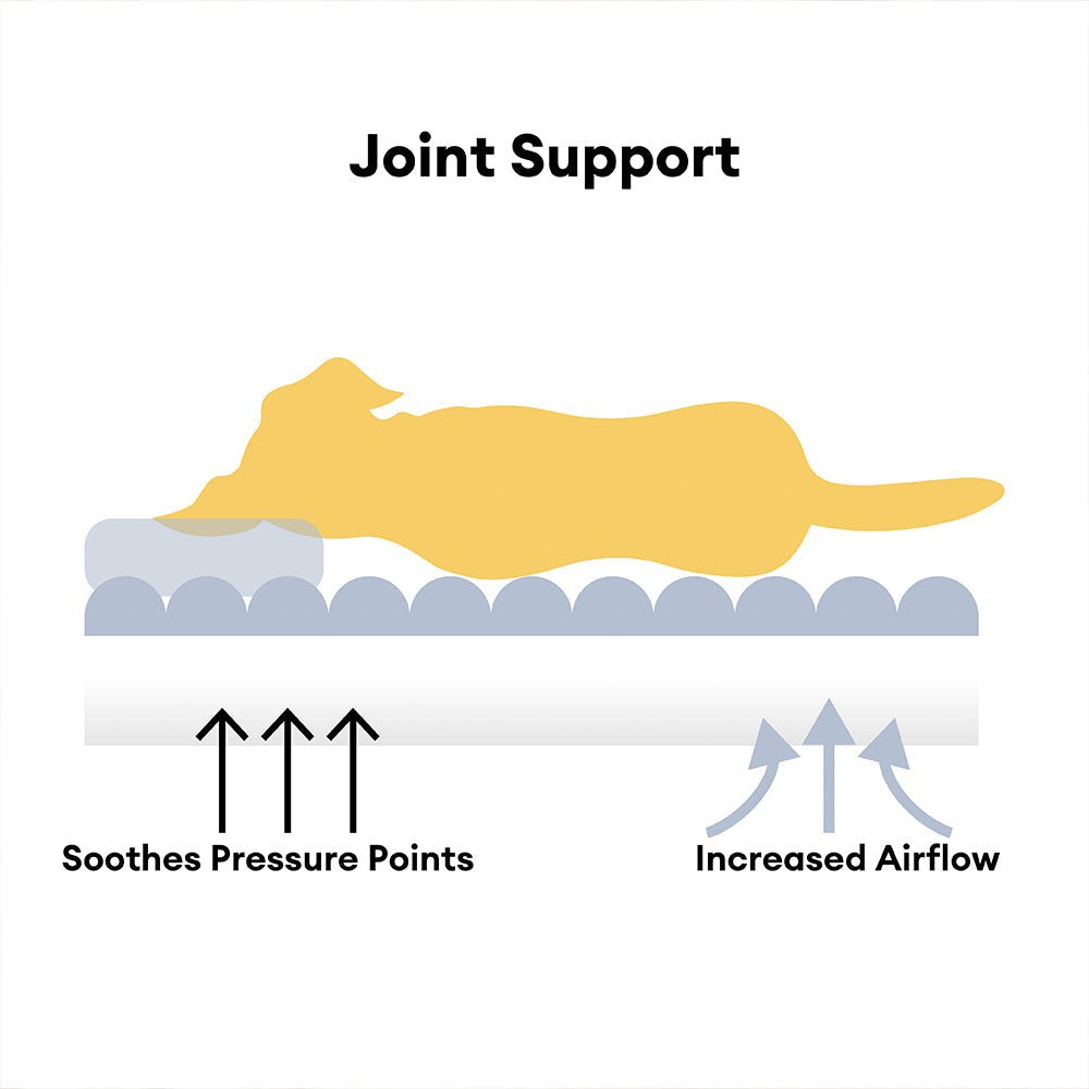 Orthopedic dog pillow made of washable plush - comfortable dog bed for large and small dogs 4