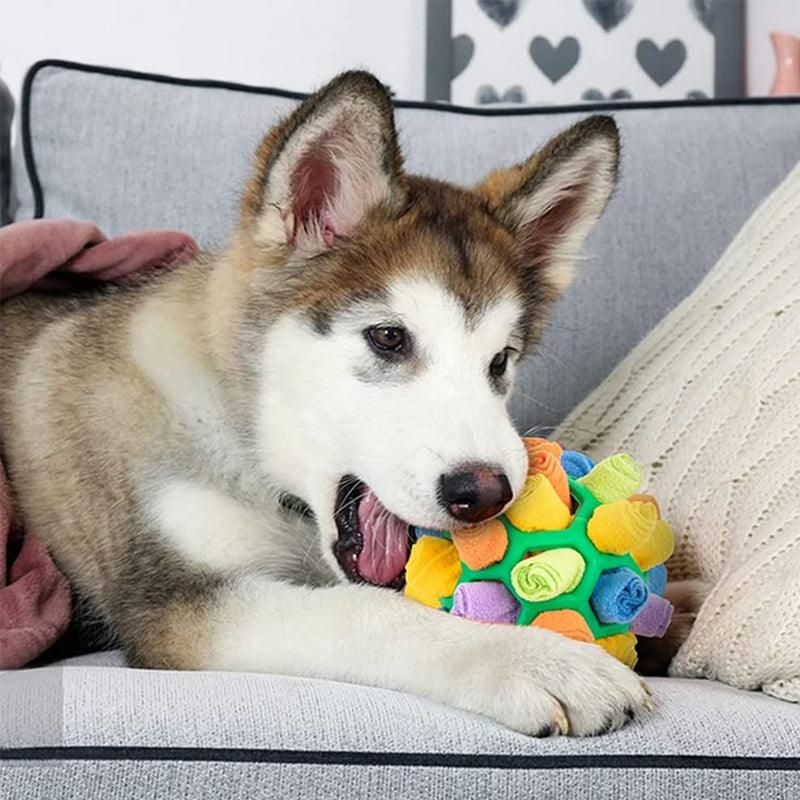 Snufflefun - interactive sniffing toys for mental stimulation for pets-6
