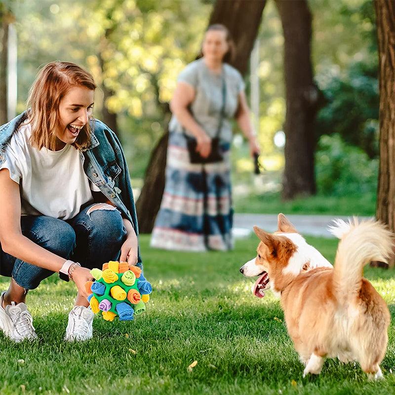  Snufflefun - interactive sniffing toys for mental stimulation for pets-3