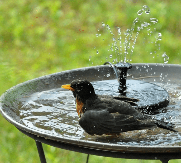 Solar Fountain Water Feature with Solar Panel – Eco-Friendly Outdoor Garden Decor for Ponds and Pools-4