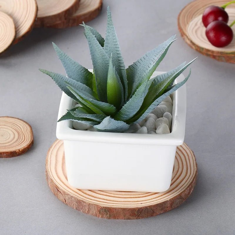 Natural Wooden Beverage Coasters - Eco-Friendly Round Drink Mats for Home 3