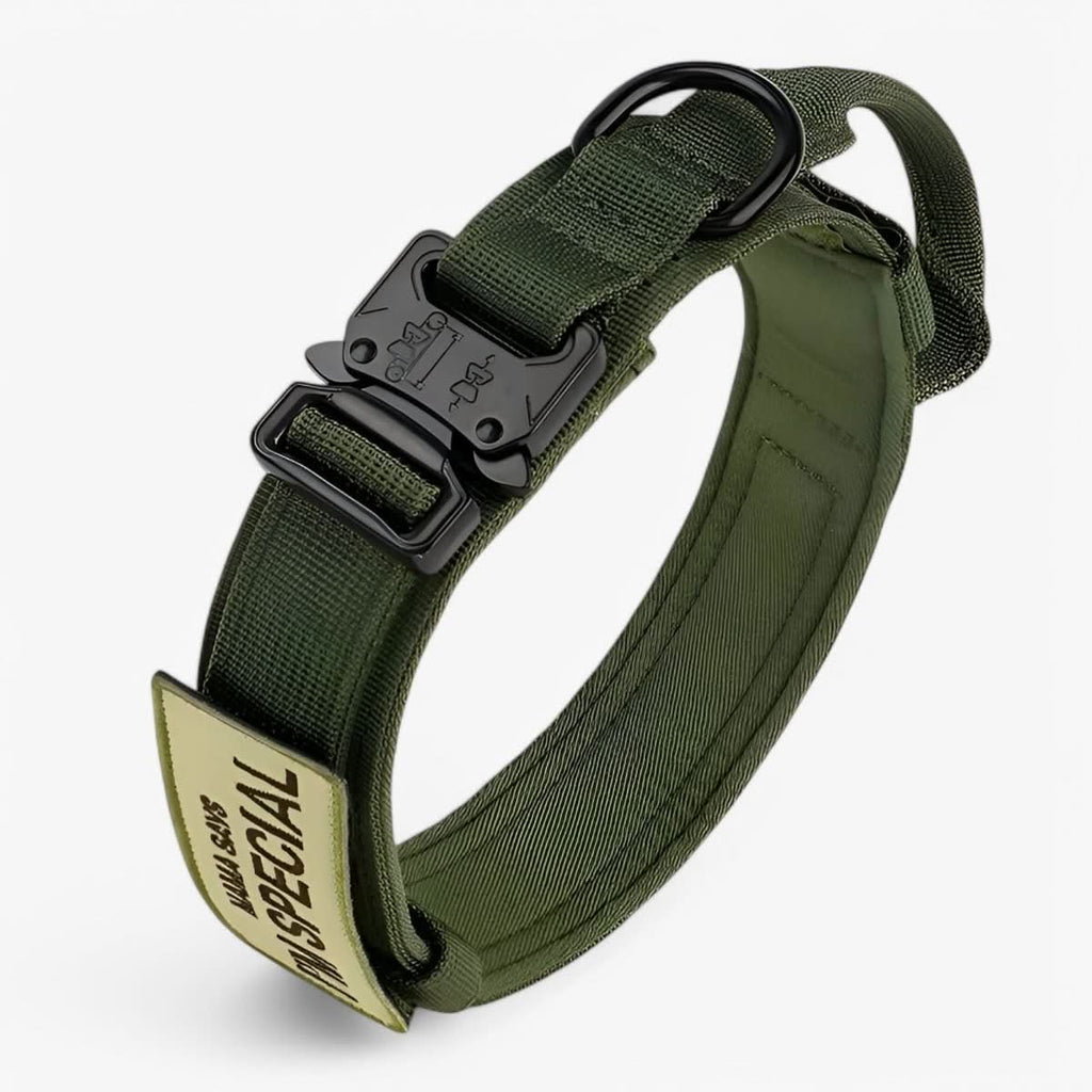 Variant image for Green