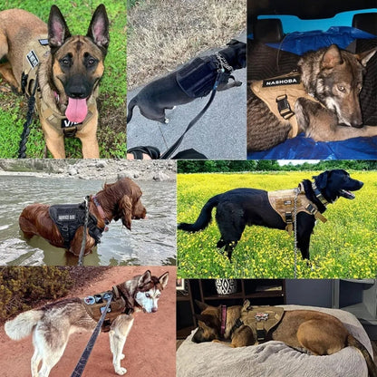  Tacticalk9 dog cable tree - robust & comfortable design for safe training-6