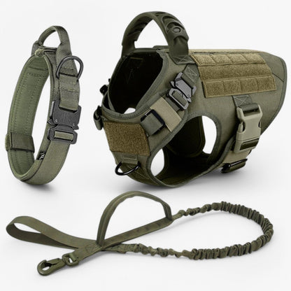  Tacticalk9 dog cable tree - robust & comfortable design for safe training-3