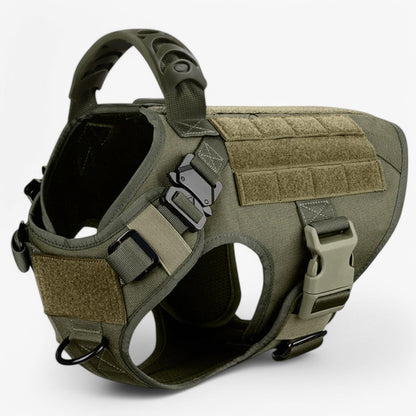 Variant image for Green harness