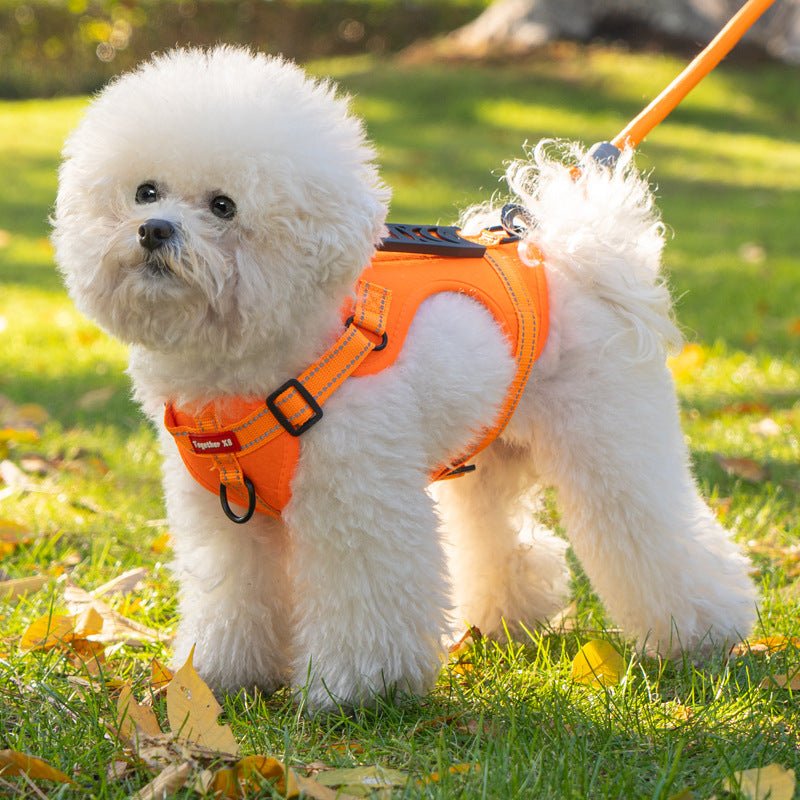 TailMate - Comfortable Dog Harness with Reflective Strips for Stress-Free Walks 1