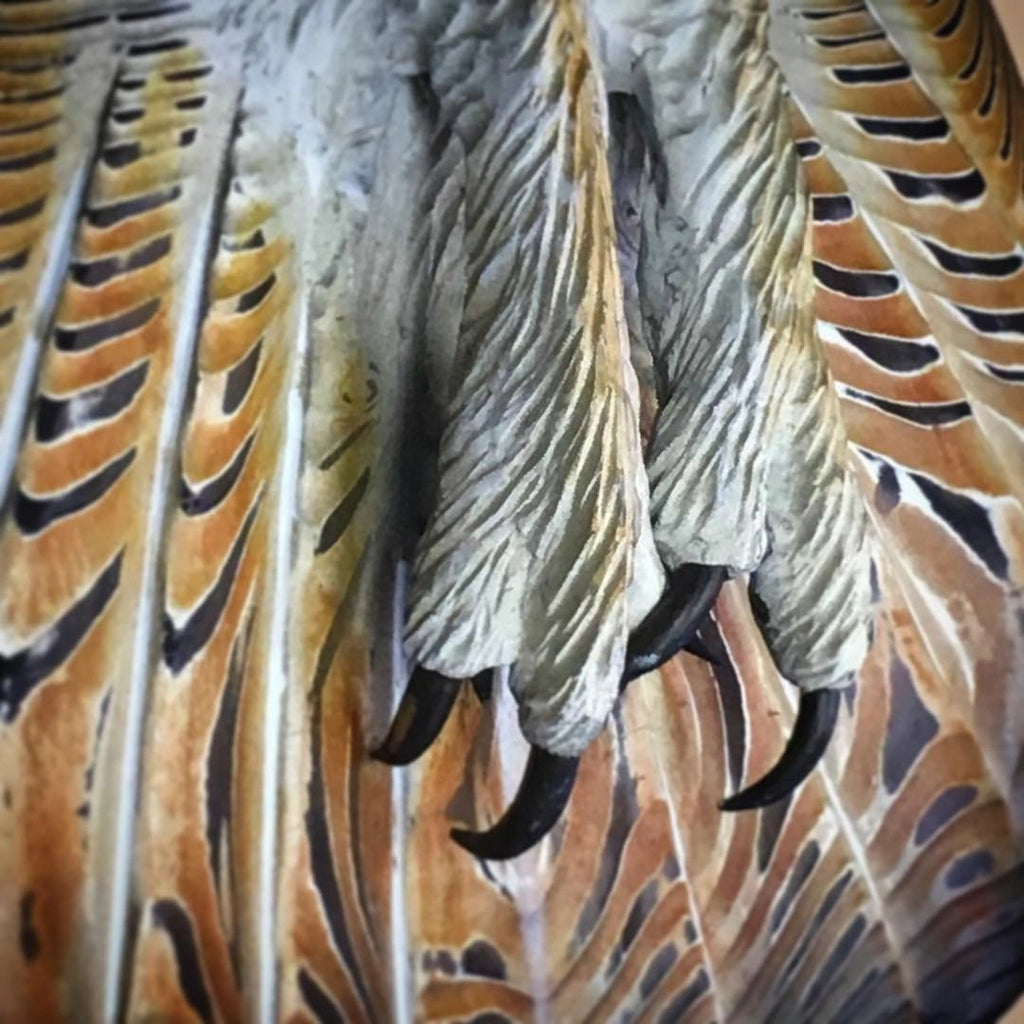 WILDGRAIN – Sculpted Barn Owl Wall Art Crafted from Solid Wood 4