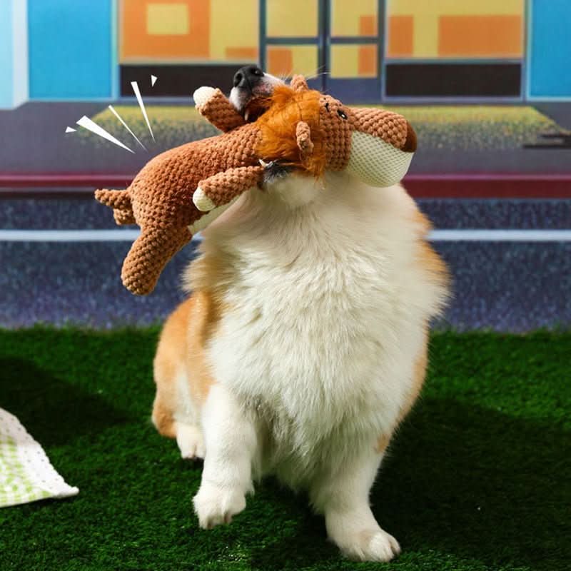 TOUGHPUP – Tuhoutumaton koiranlelu loputtomaan hauskanpitoon