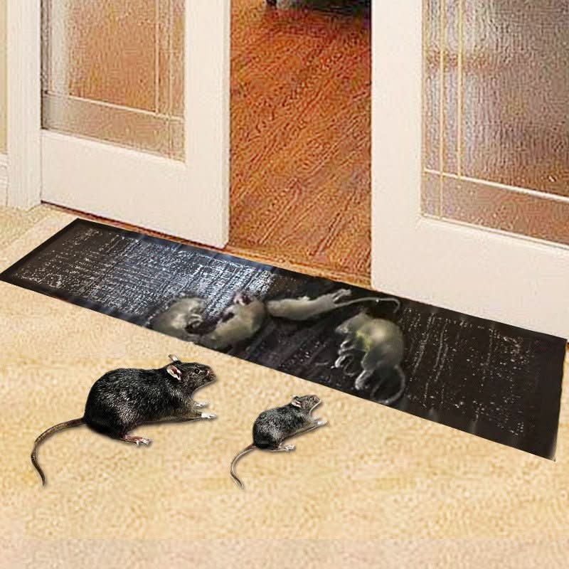 TRAPZONE MAX – Large Non-Toxic Sticky Trap for Effective Pest Control