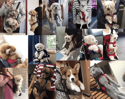 Travelbuddy carrier-breathable pet travel bag for stylish & safe travel-4