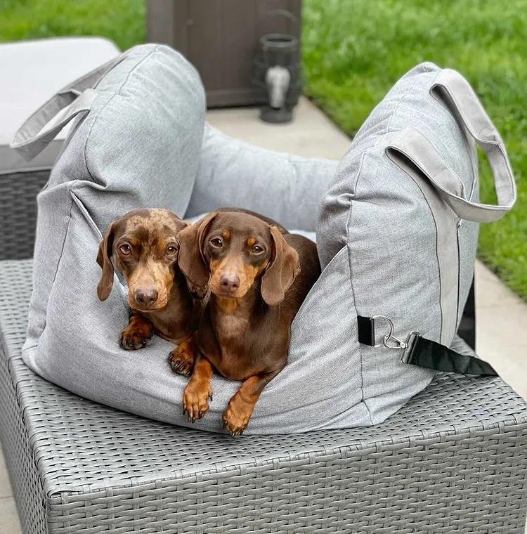 Dog seat bed for cars with adjustable seat belts and washable cover - comfortable and non -slip for safe trips 8