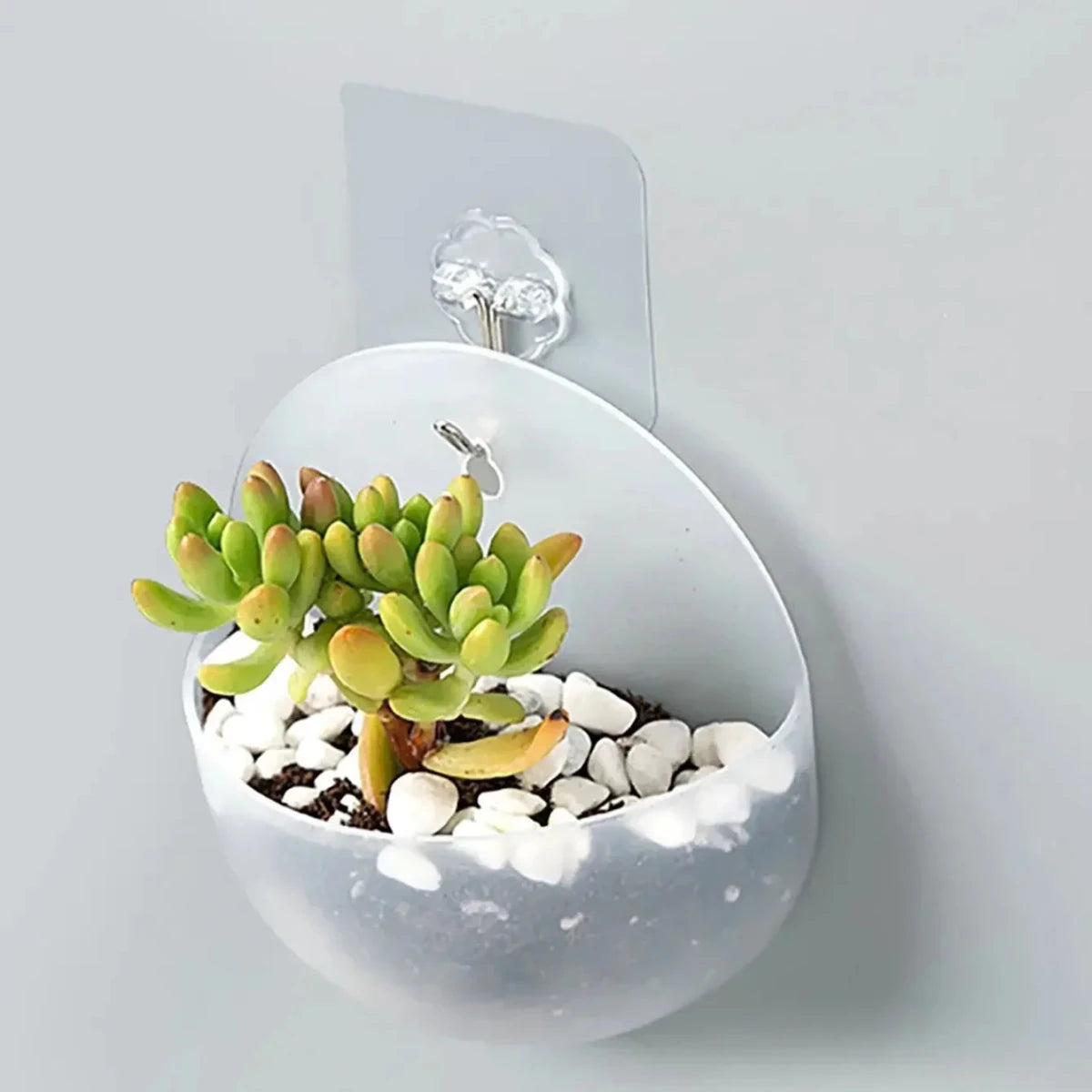 Hydroponic Wall Hanging Planter - Durable Plastic Vase for Indoor Plants 4