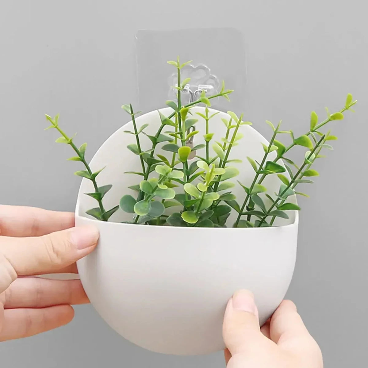 Hydroponic Wall Hanging Planter - Durable Plastic Vase for Indoor Plants 0