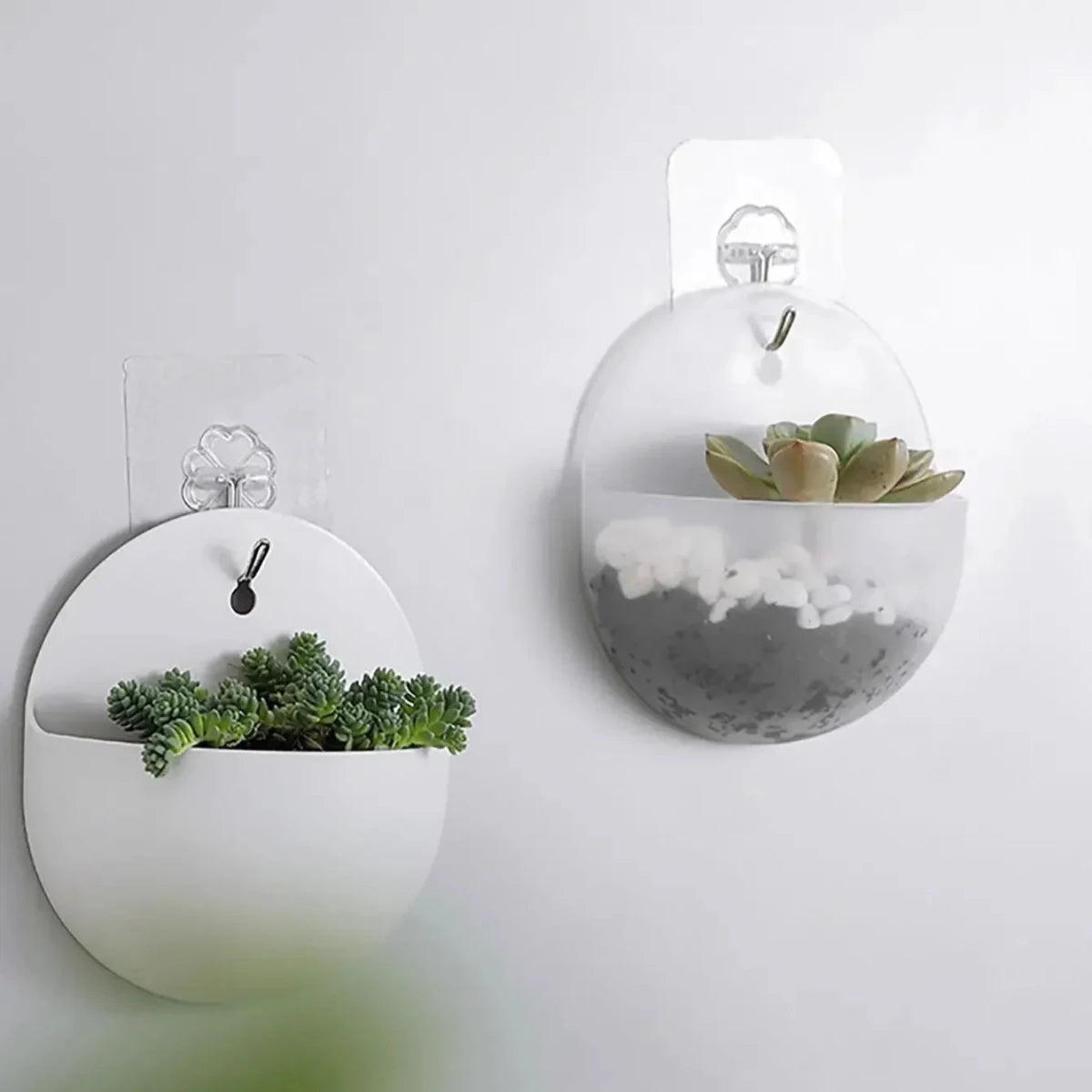 Hydroponic Wall Hanging Planter - Durable Plastic Vase for Indoor Plants 3