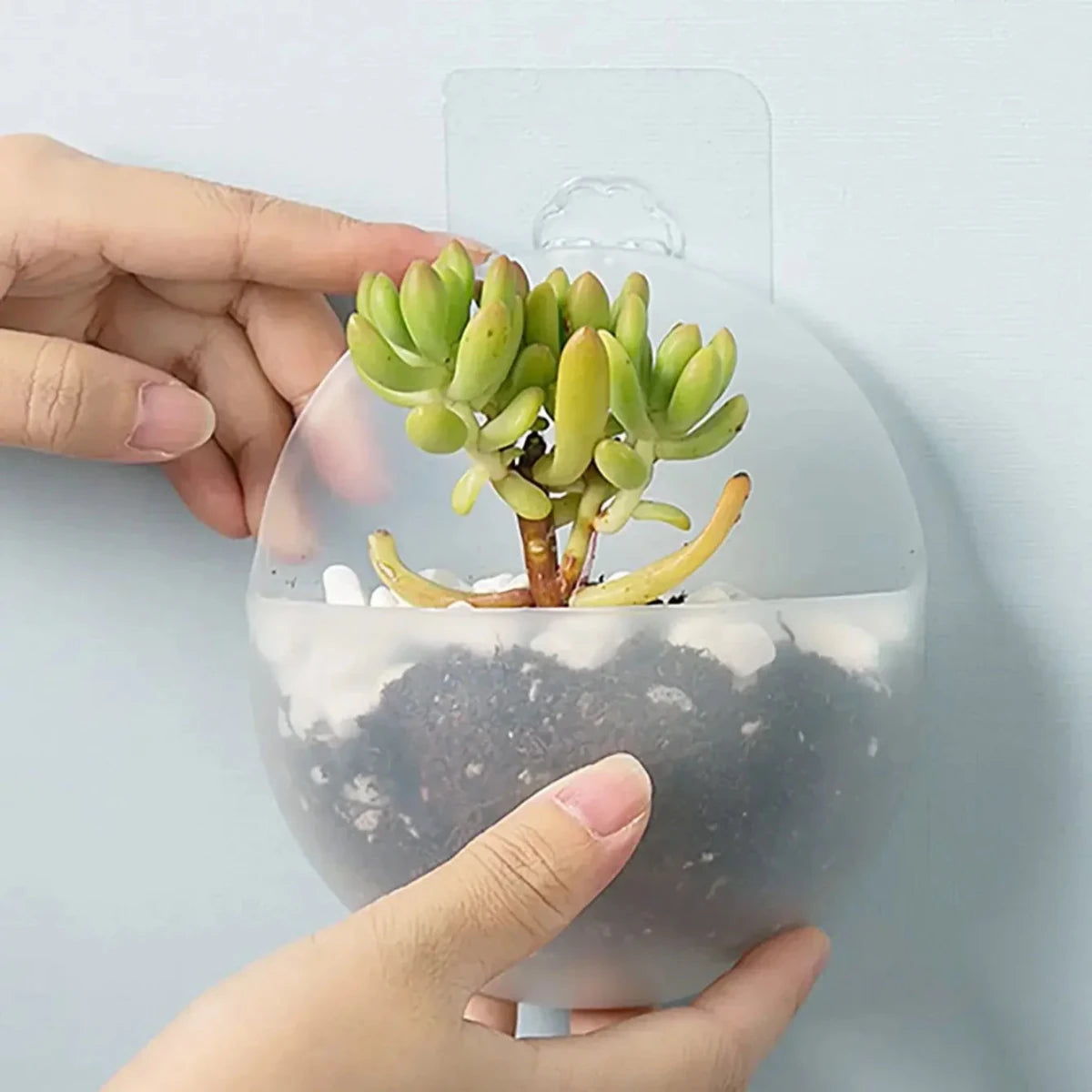 Hydroponic Wall Hanging Planter - Durable Plastic Vase for Indoor Plants 5