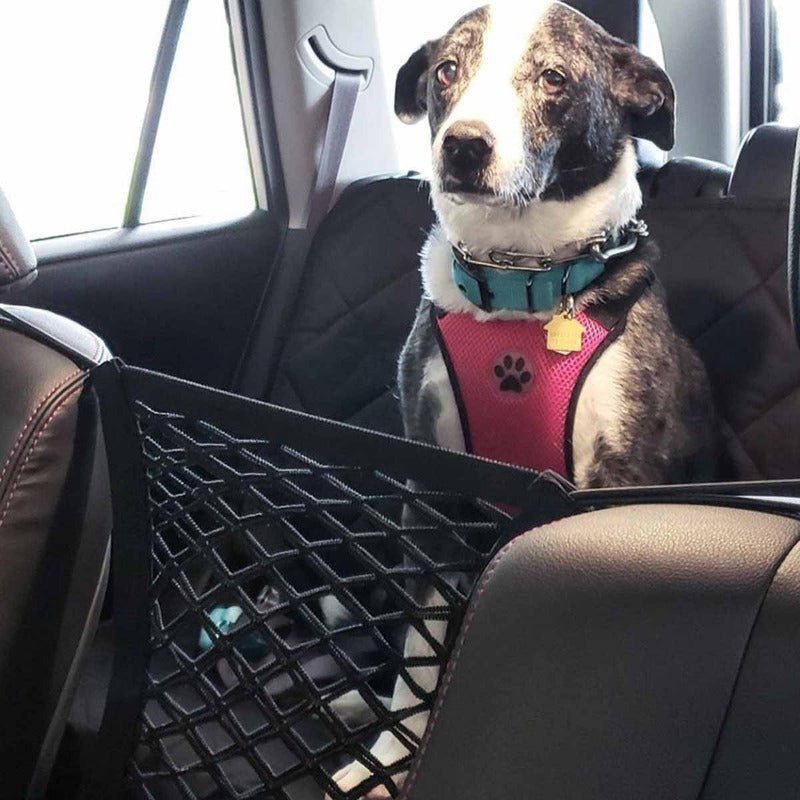  Victor Barrière - safety network for the car for pets with storage space-5
