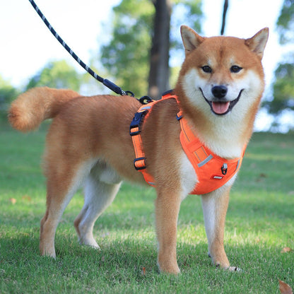 Harnais WalkEase - Harnais anti-traction pour chien pour des promenades détendues et une posture saine