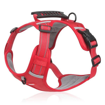 Harnais WalkEase - Harnais anti-traction pour chien pour des promenades détendues et une posture saine