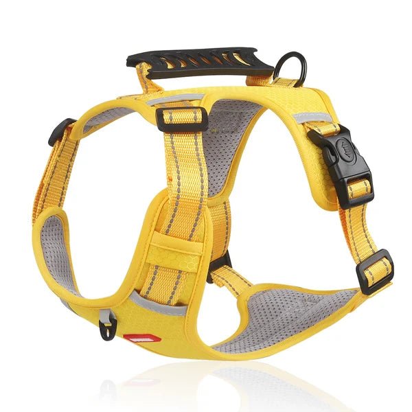 Harnais WalkEase - Harnais anti-traction pour chien pour des promenades détendues et une posture saine