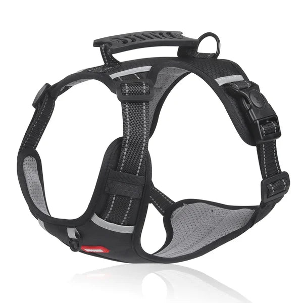 Harnais WalkEase - Harnais anti-traction pour chien pour des promenades détendues et une posture saine