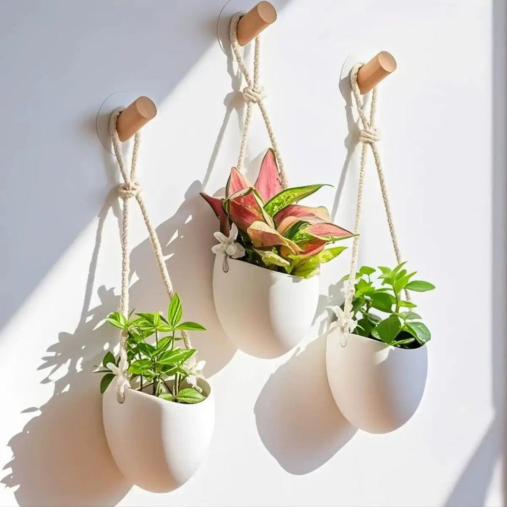 Elegant Wall-Mounted Flowerpot - Stylish White Planter for Succulents and Flowers 5