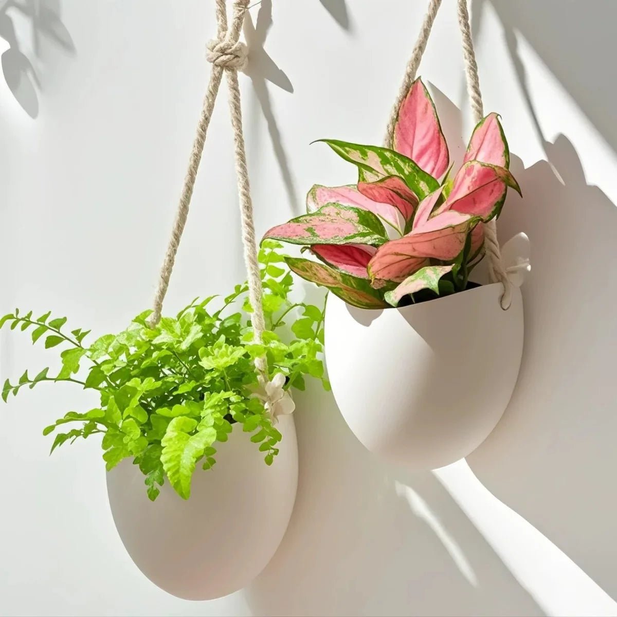 Elegant Wall-Mounted Flowerpot - Stylish White Planter for Succulents and Flowers 0