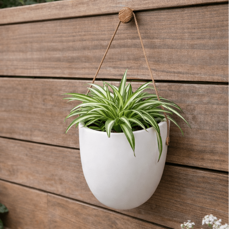 WALLORA – Elegant Wall-Mounted Planter for Space-Saving Green Decor
