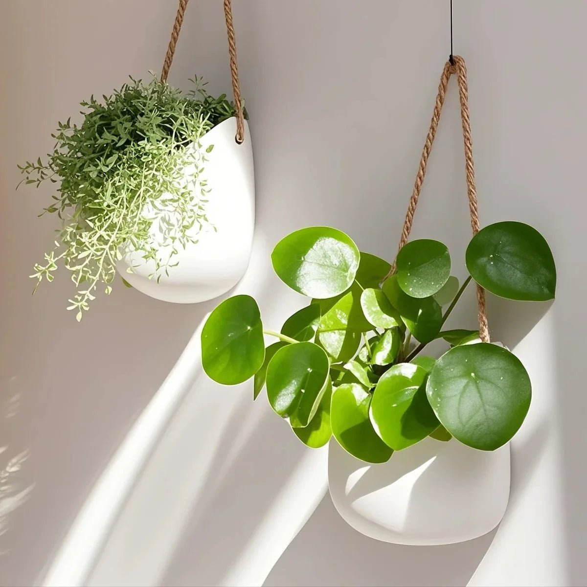 Elegant Wall-Mounted Flowerpot - Stylish White Planter for Succulents and Flowers 1