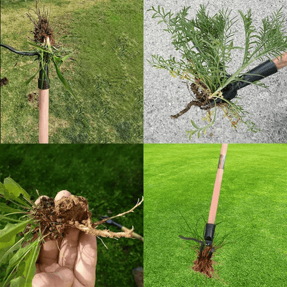 Innovative Weed Removal Tool with Sharp Teeth for Effortless Lawn Care – Black Iron Garden Tool-3