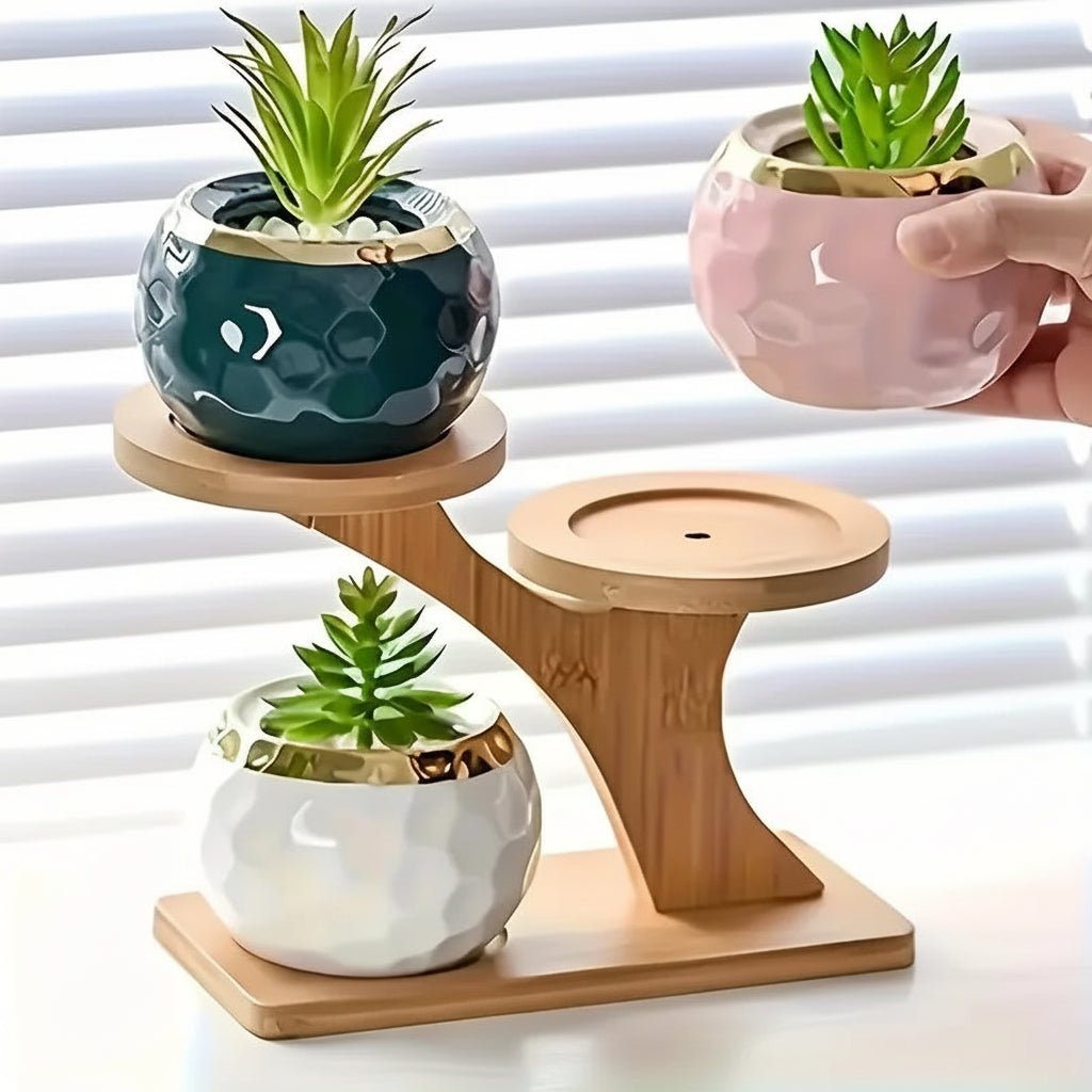 BAMBOOLINE – Natural Bamboo 2-Tier Stand Compact Shelf for Home and Office Decor 4