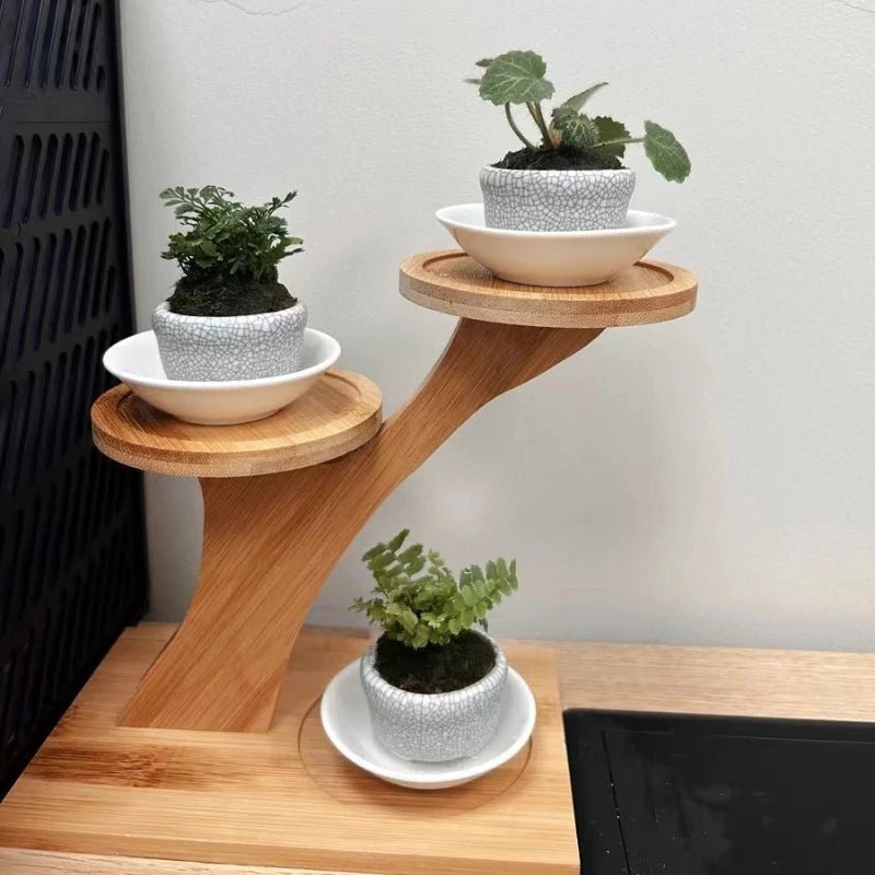 BAMBOOLINE – Natural Bamboo 2-Tier Stand Compact Shelf for Home and Office Decor 1